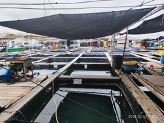 -蓝湾碧波·老字号·疍家非遗海上餐厅