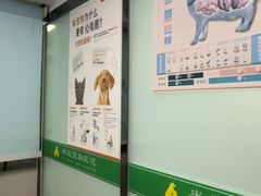 -半岛宠物医院24小时(科华中路店)
