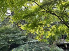 -杭州植物园