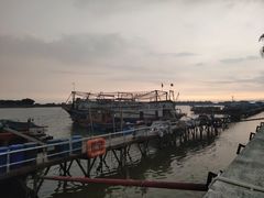 -大湾区中央湿地公园