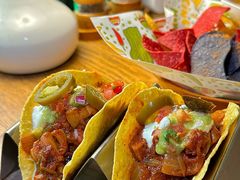 -Famous肥猫墨西哥音乐餐吧(五棵松华熙LIVE店)