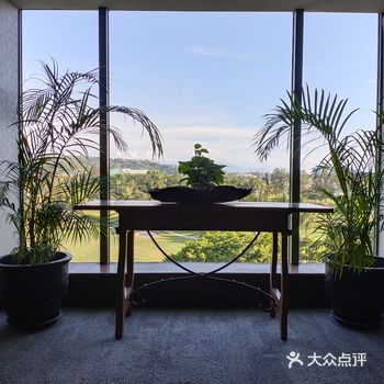 有鸽子就会看你吃饭 一走开