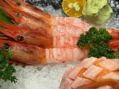 -九州酒场ひこぞう(2号店)
