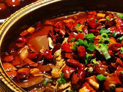 香辣毛血旺-東舍食唐精品陕菜馆