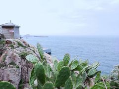 -东极岛景区