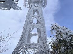 -江西阳明山国家森林公园