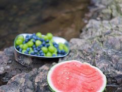 -北仑森林植物园