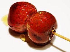 -羲和雅苑•北京烤鸭(平安国际金融中心店)