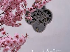 -国家植物园