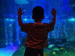 -沈阳海洋探索中心