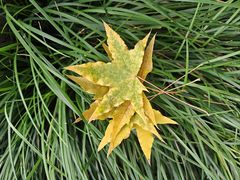 -杭州半山国家森林公园