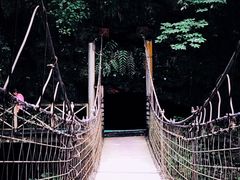 -南江大峡谷