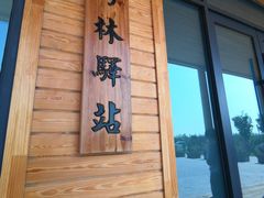 -白洋淀景区