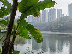 -重庆彩云湖湿地公园