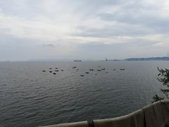 -渔公码头海货全海鲜自助(海滨旅游路店)