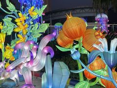 -海合安武汉极地海洋公园