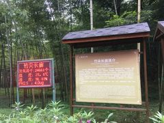 -陶祖圣境风景区