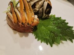 -洋洋中餐馆·SINCE 1997(信投店)