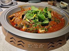 -黔渔翁豆花渎鱼(喷水池店)