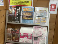 -岚山嵯峨野观光小火车