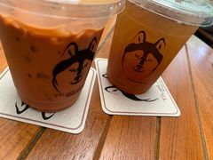 -TrueLove @ Neverland (Husky Cafe)