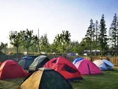 -前小桔亲子创意农场·草莓采摘·露营烧烤