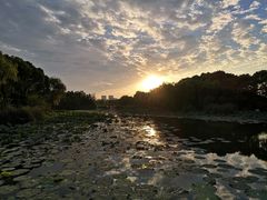 -新江湾城公园