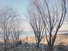 -上海吴淞炮台湾国家湿地公园