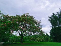 -中国科学院西双版纳热带植物园