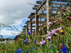 -白草畔自然风景区