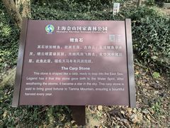 -上海佘山国家森林公园天马山园