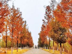 -滆湖低碳生态公园