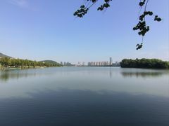 -顺峰山公园