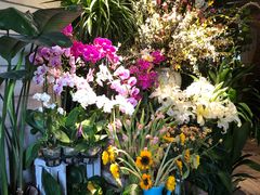-春暖花开(西溪店)