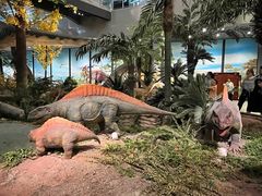 -湖南省地质博物馆