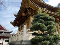 -上海东林寺(金山区)
