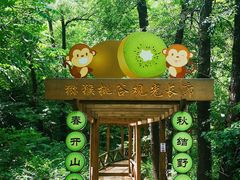 -大岭沟猕猴桃谷风景区