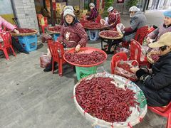 -邱金小炒·30 年盐帮江湖菜(自贡店)