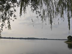 -丁香湖公园