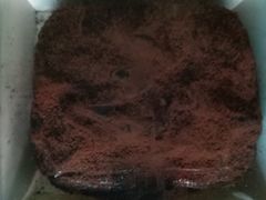 -执茶识麦(万达华府店)