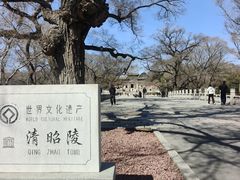 -北陵公园