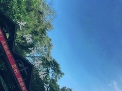 -普洱太阳河森林公园