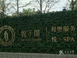 -悦子阁月子会所