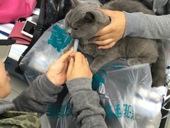 -瑞派宠物医院·24h·骨外科·皮肤科·全科宠物医疗转诊中心(沈阳浑南院)