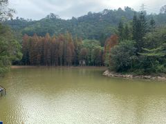 -滴水岩森林公园