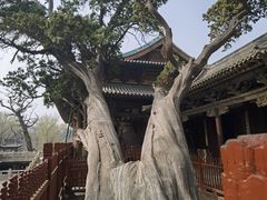 -晋祠公园