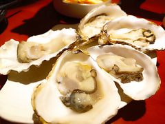 鲜生蚝-金穗园·砂锅粥.醉鸡煲火锅(长寿路店)