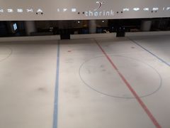 -TheRink大零溜冰场(IFS国金中心店)