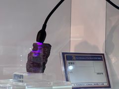 -中国地质大学逸夫博物馆