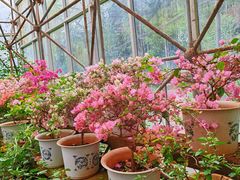 -昆明市金殿名胜区